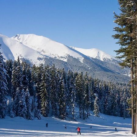 Skiing, Walking, Enjoying In Mountains Bansko Exterior foto