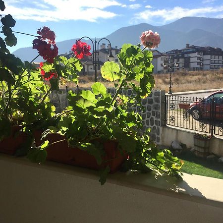 Skiing, Walking, Enjoying In Mountains Bansko Exterior foto