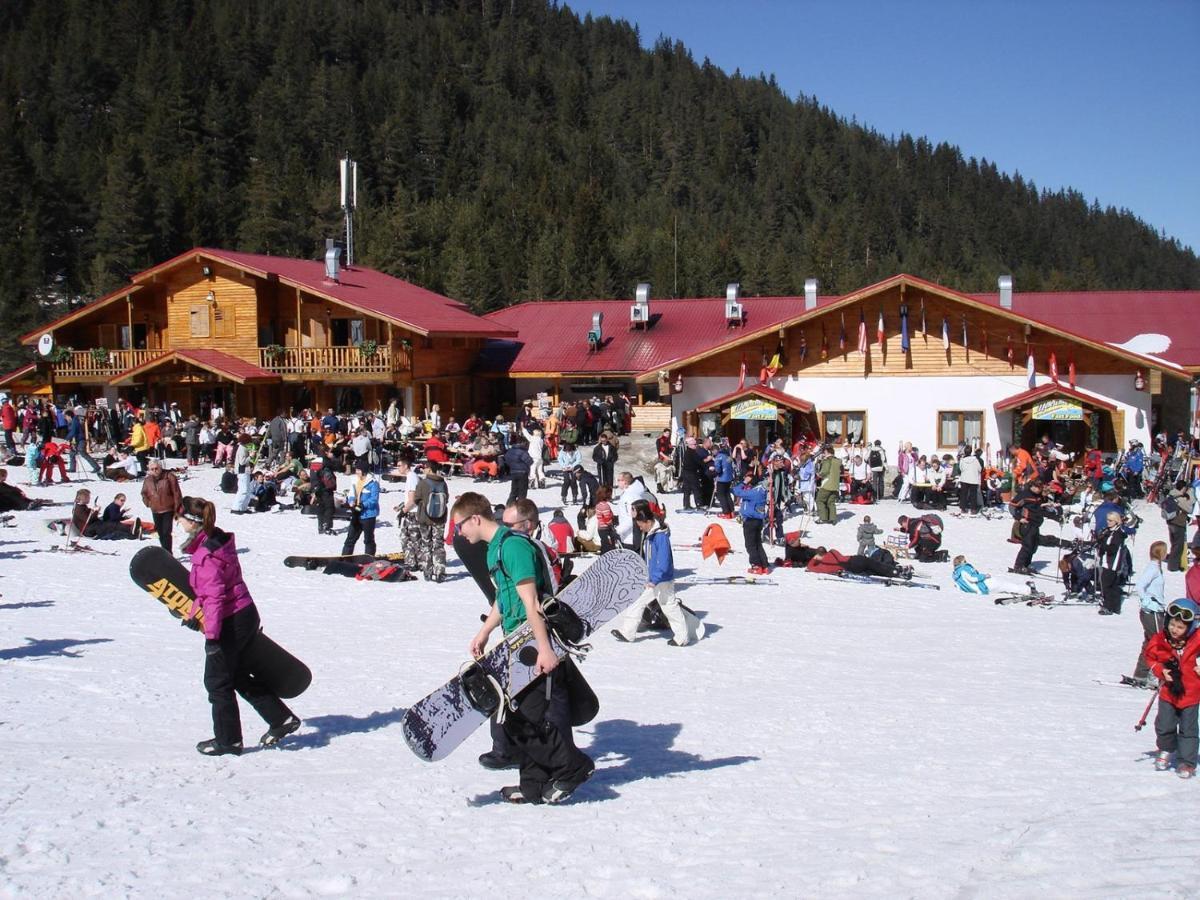 Skiing, Walking, Enjoying In Mountains Bansko Exterior foto