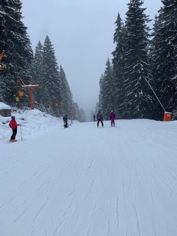 Skiing, Walking, Enjoying In Mountains Bansko Exterior foto