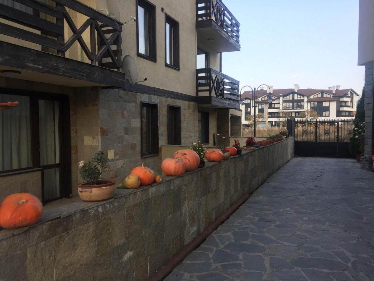 Skiing, Walking, Enjoying In Mountains Bansko Exterior foto