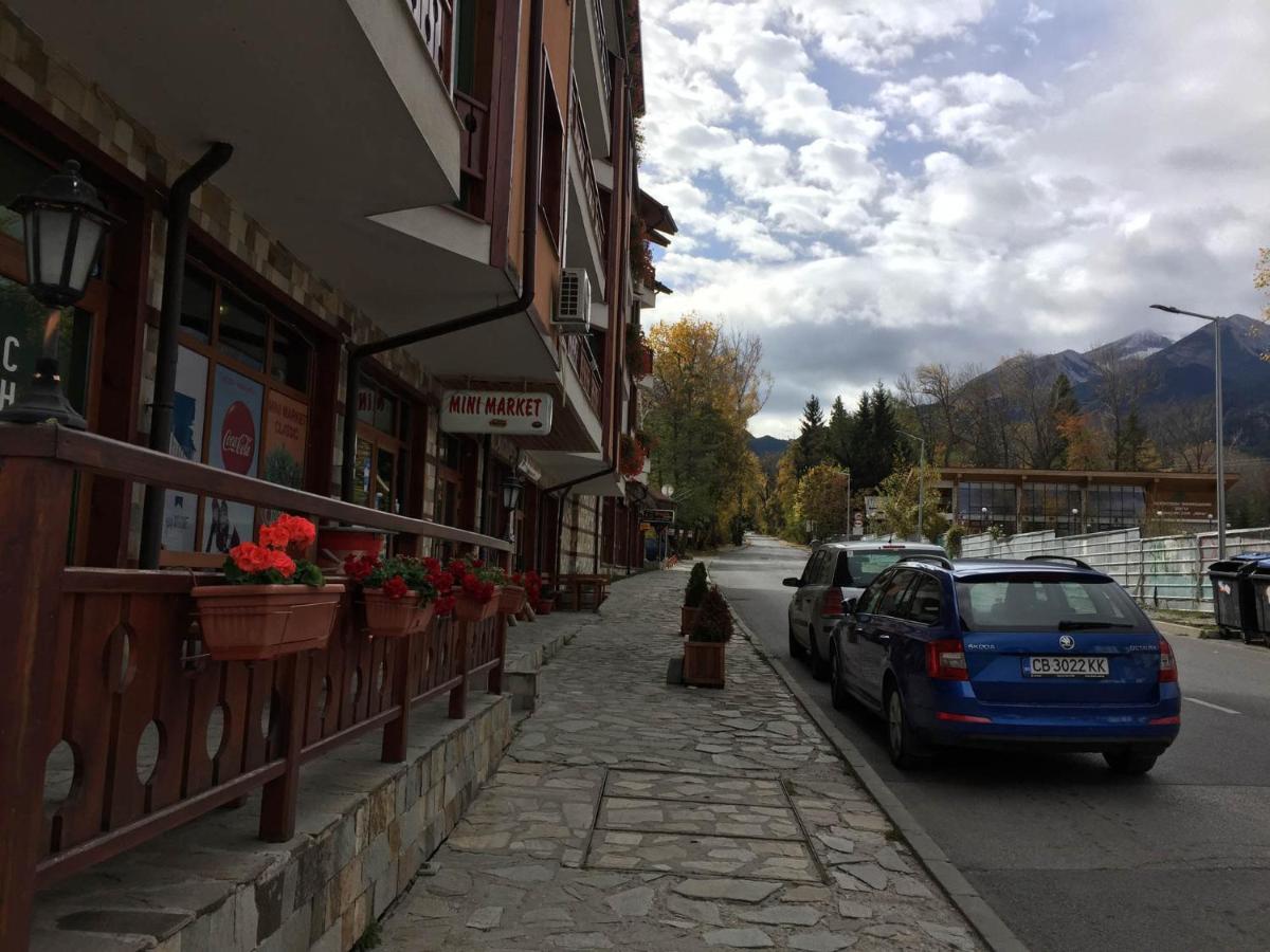 Skiing, Walking, Enjoying In Mountains Bansko Exterior foto