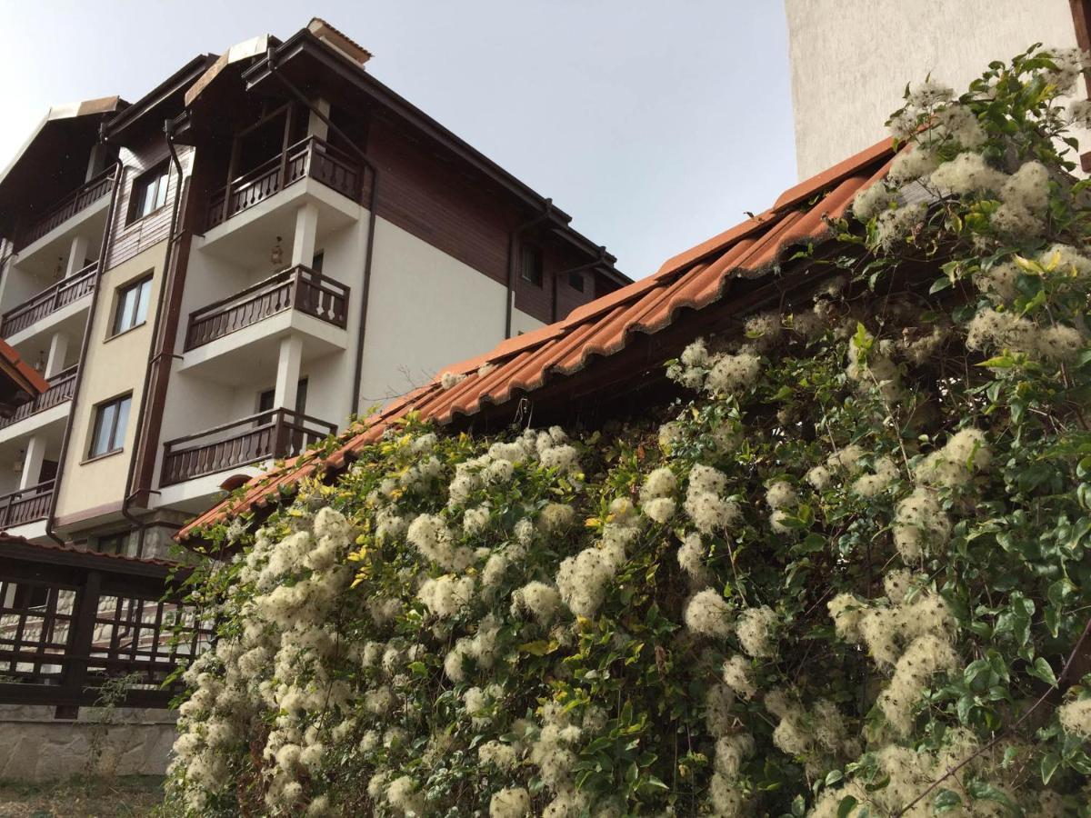 Skiing, Walking, Enjoying In Mountains Bansko Exterior foto