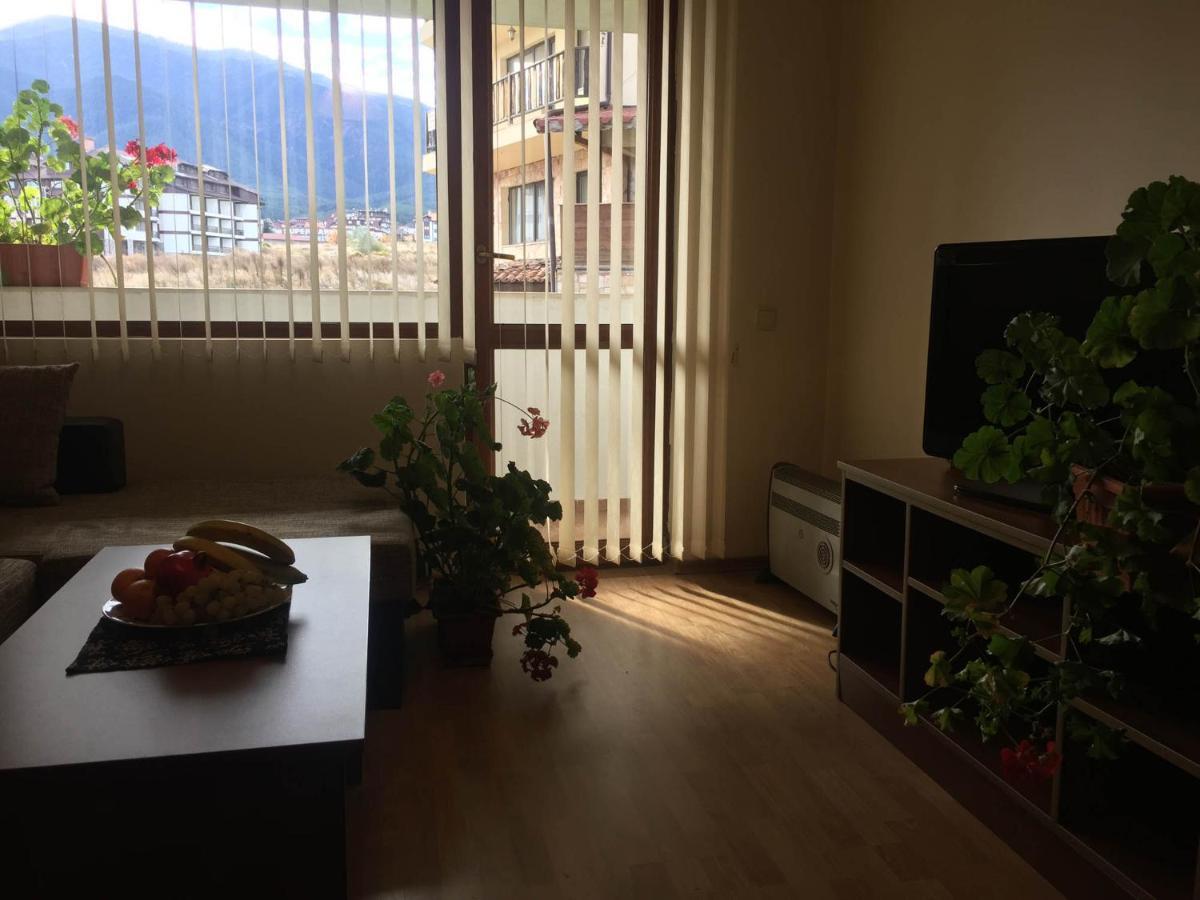 Skiing, Walking, Enjoying In Mountains Bansko Exterior foto